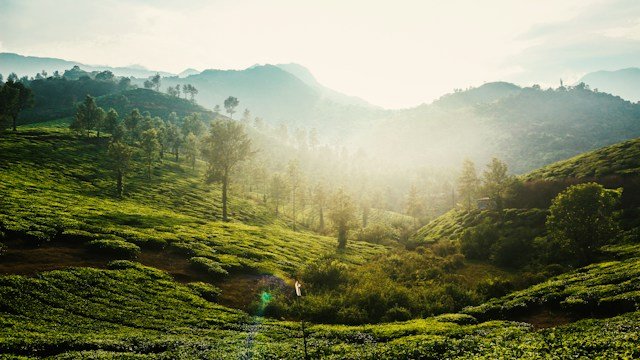 wayanad