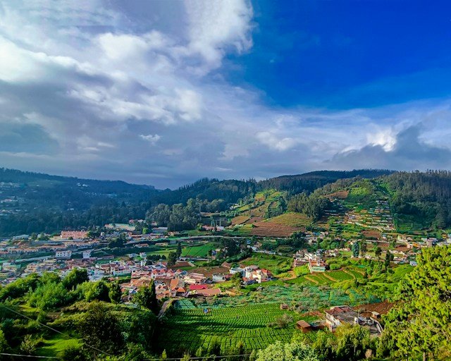 ooty