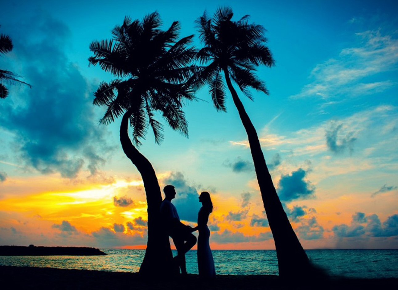 Honeymoon Trails