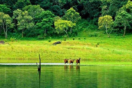 Tamil Nadu Tourism – Land of Temples, Culture & Natural Beauty - photo