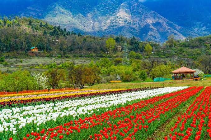 Kashmir Tourism – Paradise on Earth - photo